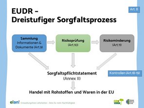 graphische Darstellung des dreistufigen Sorgfaltspflichtprozesses bei der EUDR, EU-Verordnung über entwaldungsfreie Lieferketten