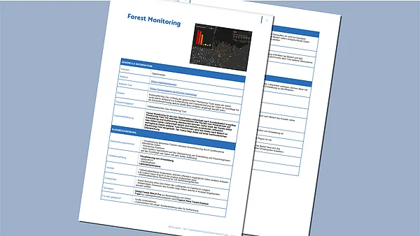 Moch-up-ELAN-Publikationen