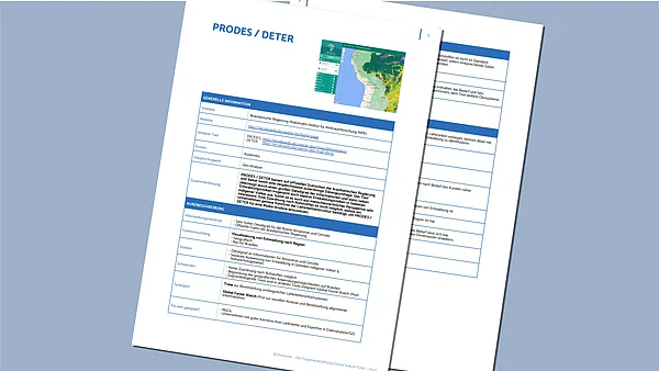 Moch-up-ELAN-Publikationen