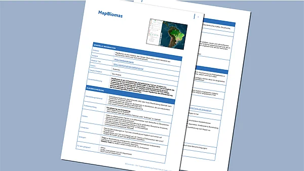 Moch-up-ELAN-Publikationen